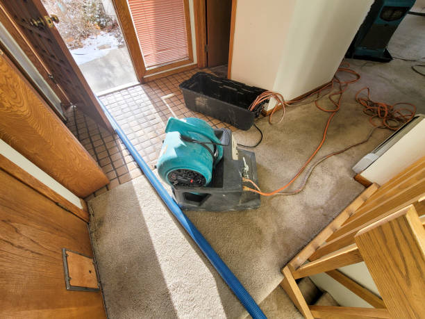 Best Local water damage restoration  in Adwolf, VA