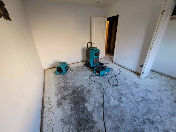 Best Fire Damage Restoration  in Adwolf, VA