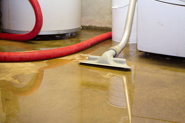 Best Emergency water damage restoration  in Adwolf, VA