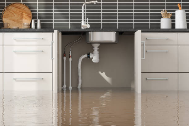 Best 24-hour water damage restoration  in Adwolf, VA